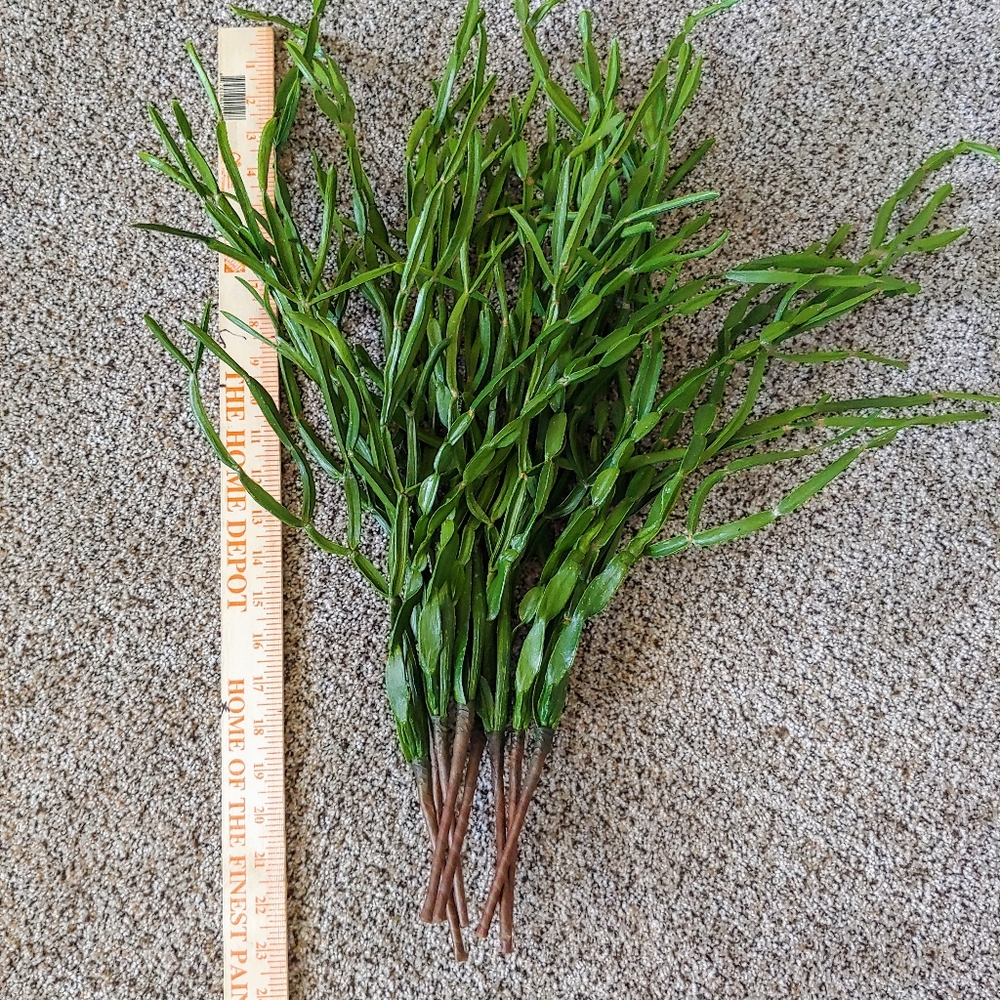 Still avaliable! 8 Stems of Fake Cactus Greenery